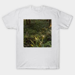 Forest Floor Covered with Ferns T-Shirt